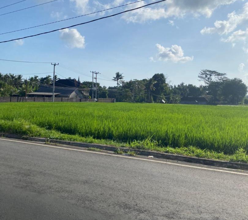 Photo of Outdoor in Kemenuh