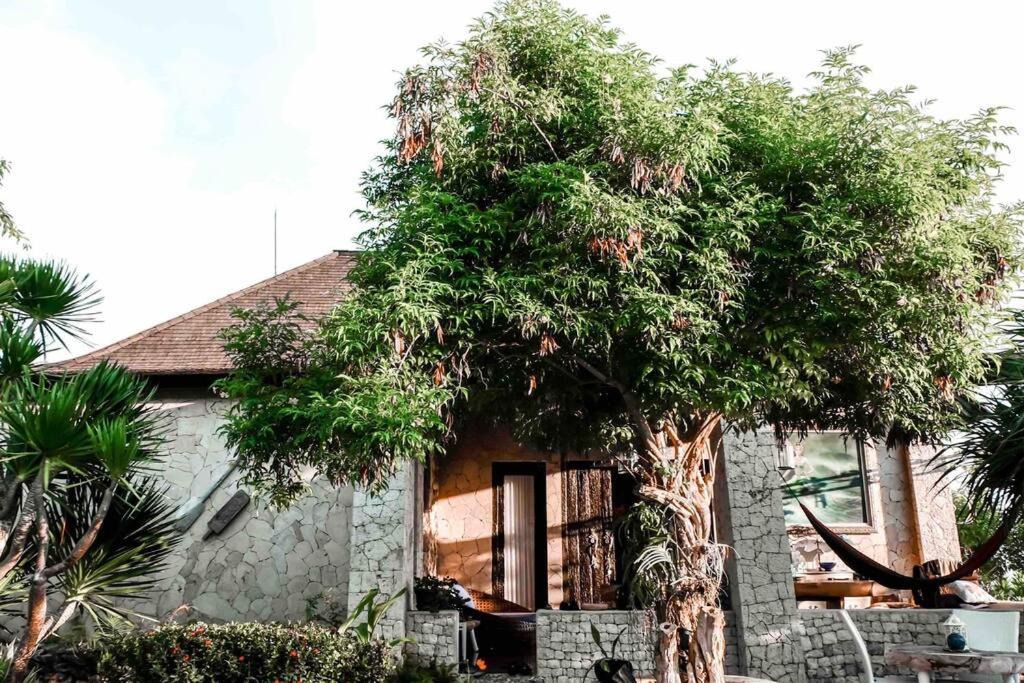 Photo of Buildings in Penida Island