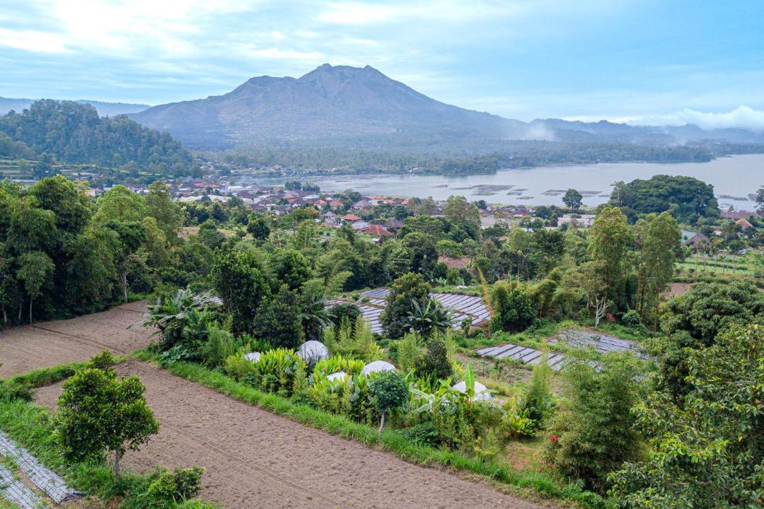 Photo of Outdoor in Kedisan