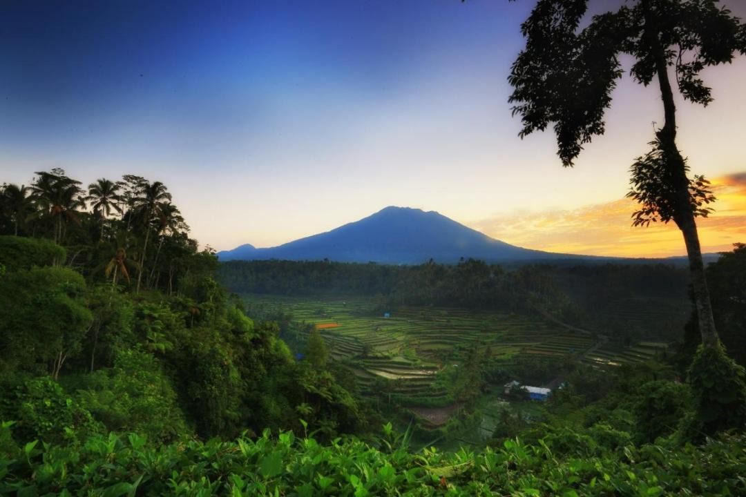 Photo of Others in Rendang