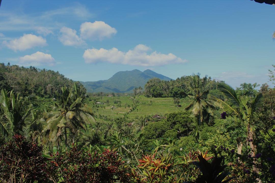Photo of Others in Ababi