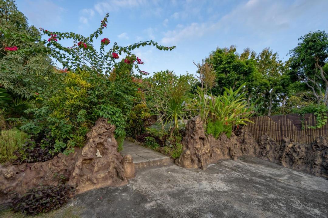 Photo of Others in Penida Island
