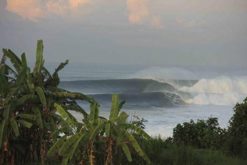 Photo of Others in Semarapura