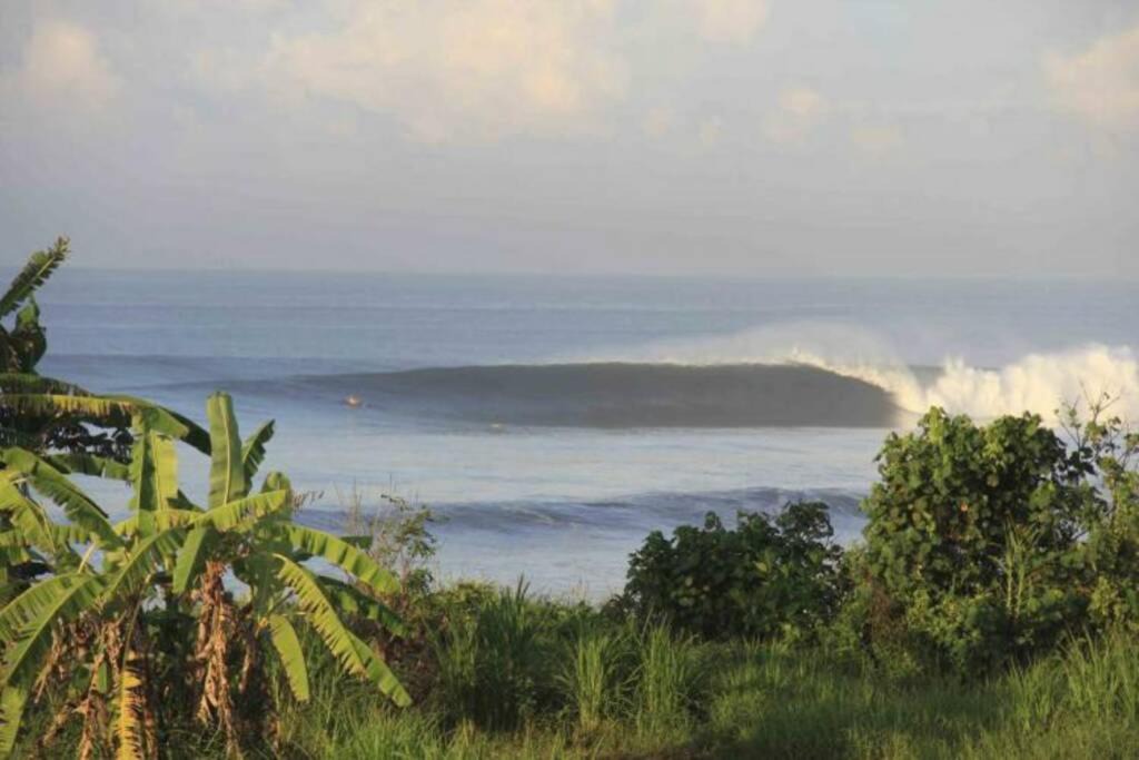 Photo of Others in Semarapura