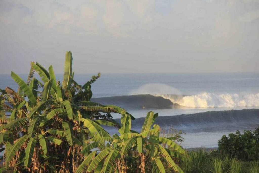 Photo of Others in Semarapura