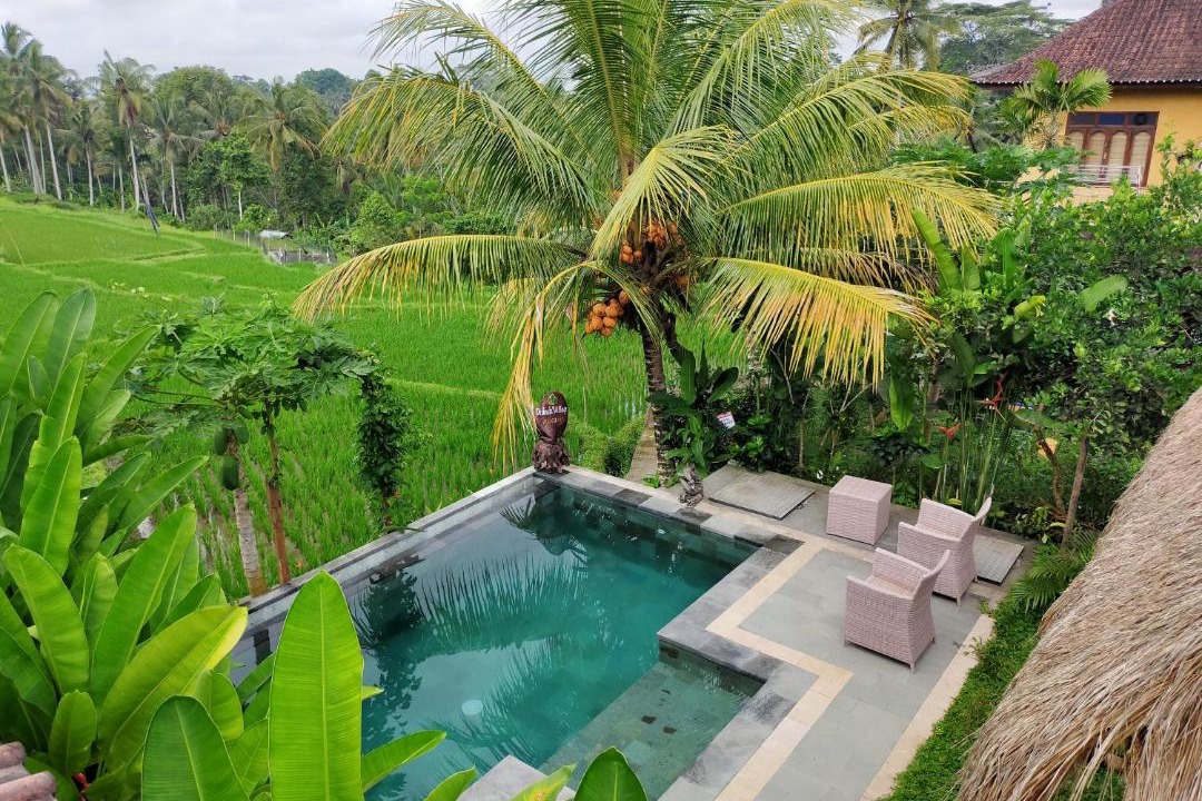 Photo of Outdoor in Kenderan