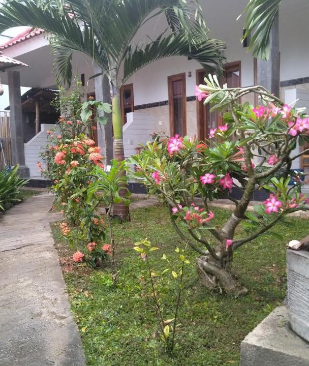 Photo of Buildings in Mushroom Bay