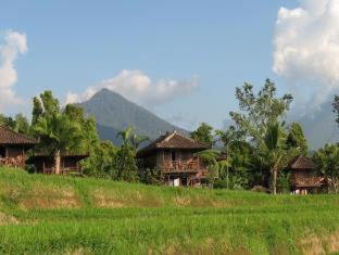 Photo of Others in Munduk
