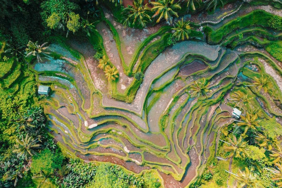 Photo of Outdoor in Dyanapura