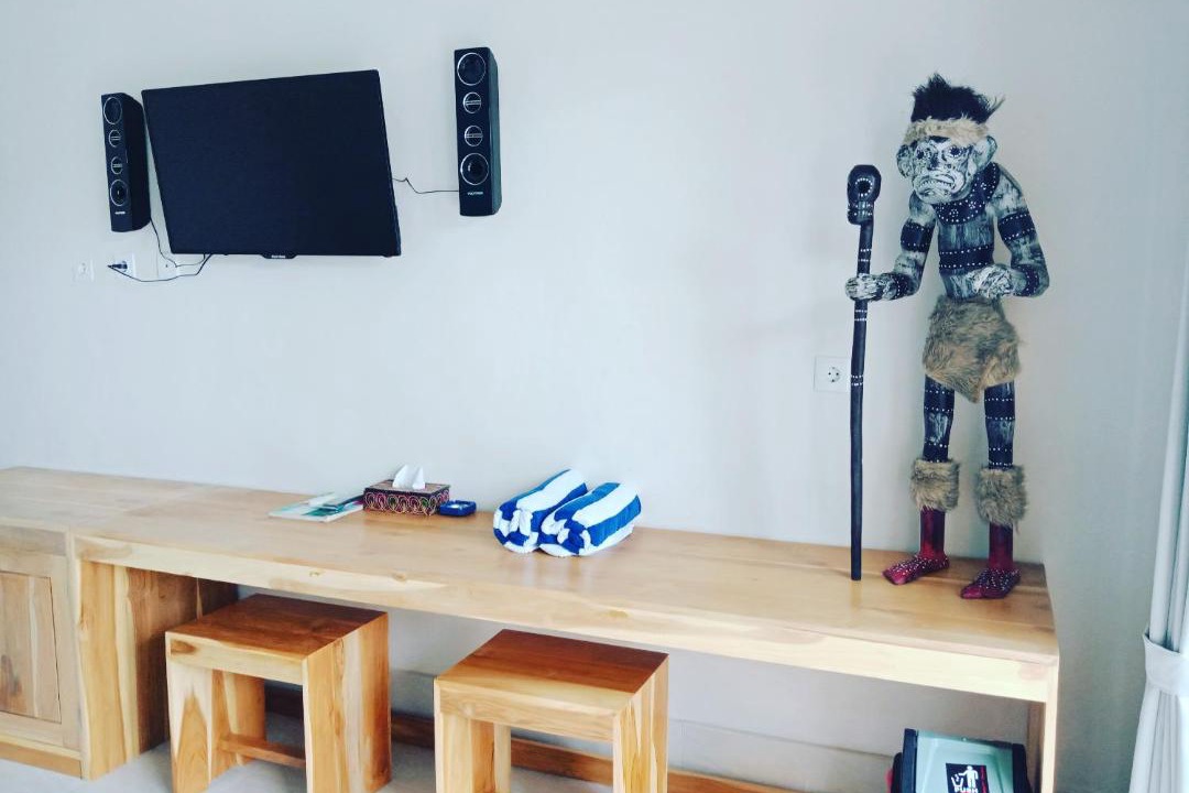 Photo of Livingroom in Penida Island