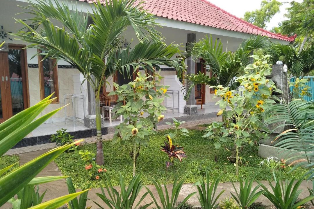 Photo of Buildings in Mushroom Bay