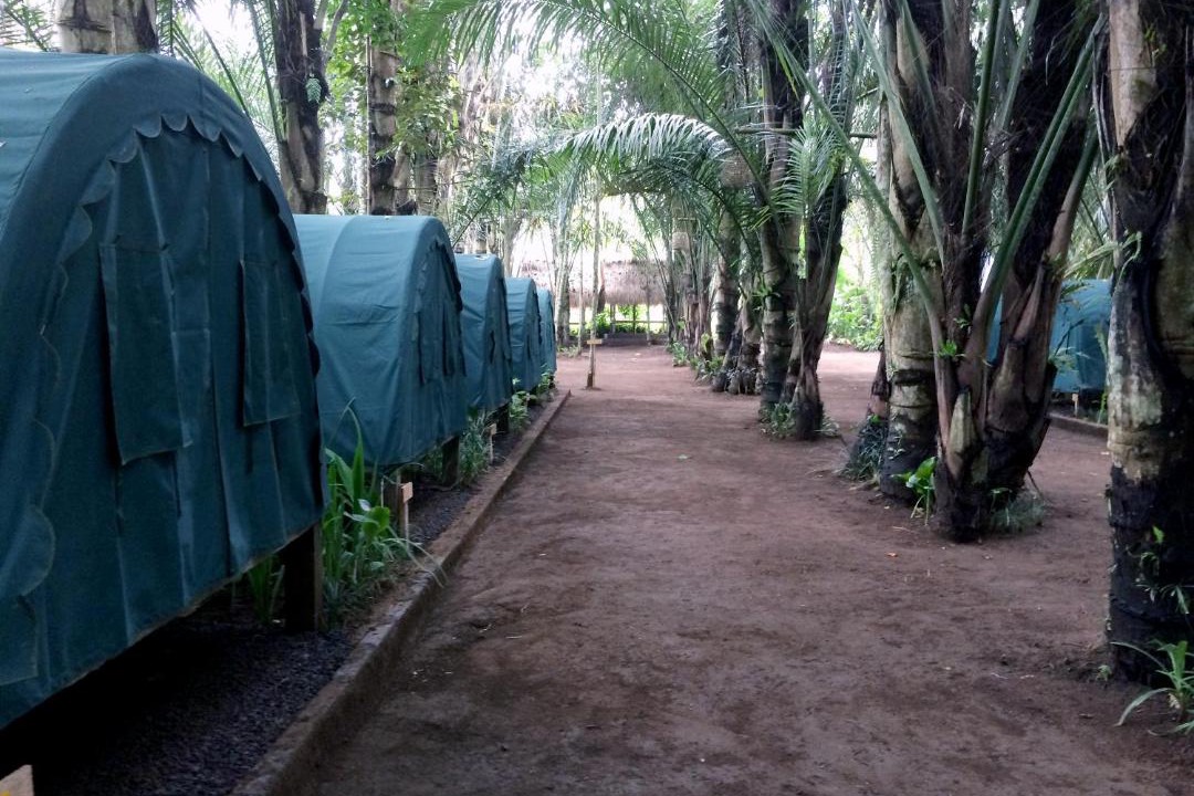 Photo of Outdoor in Taro
