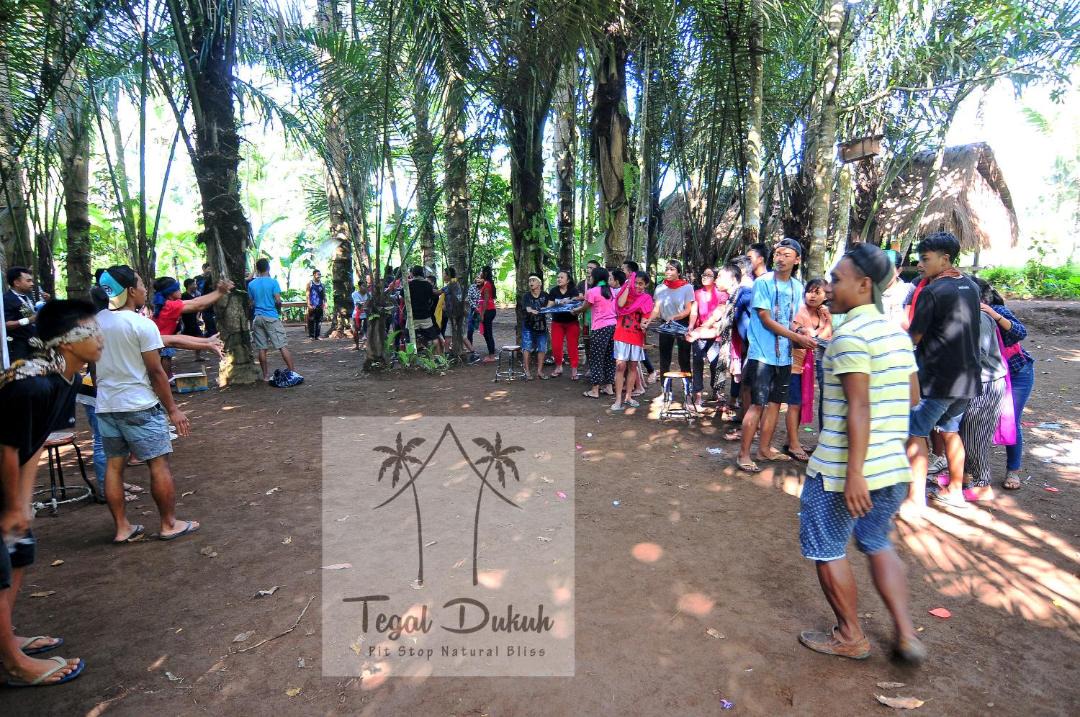 Photo of Outdoor in Taro