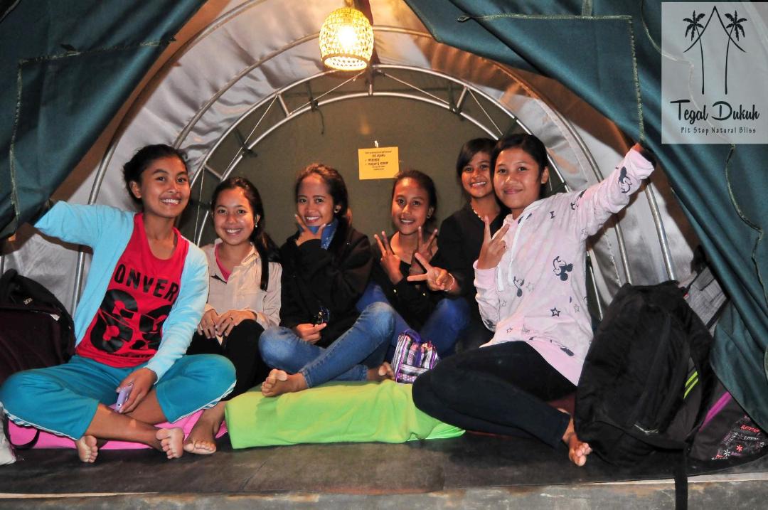 Photo of Others in Taro