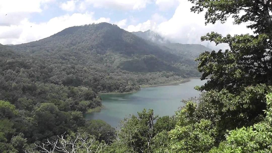 Photo of Outdoor in Bedugul