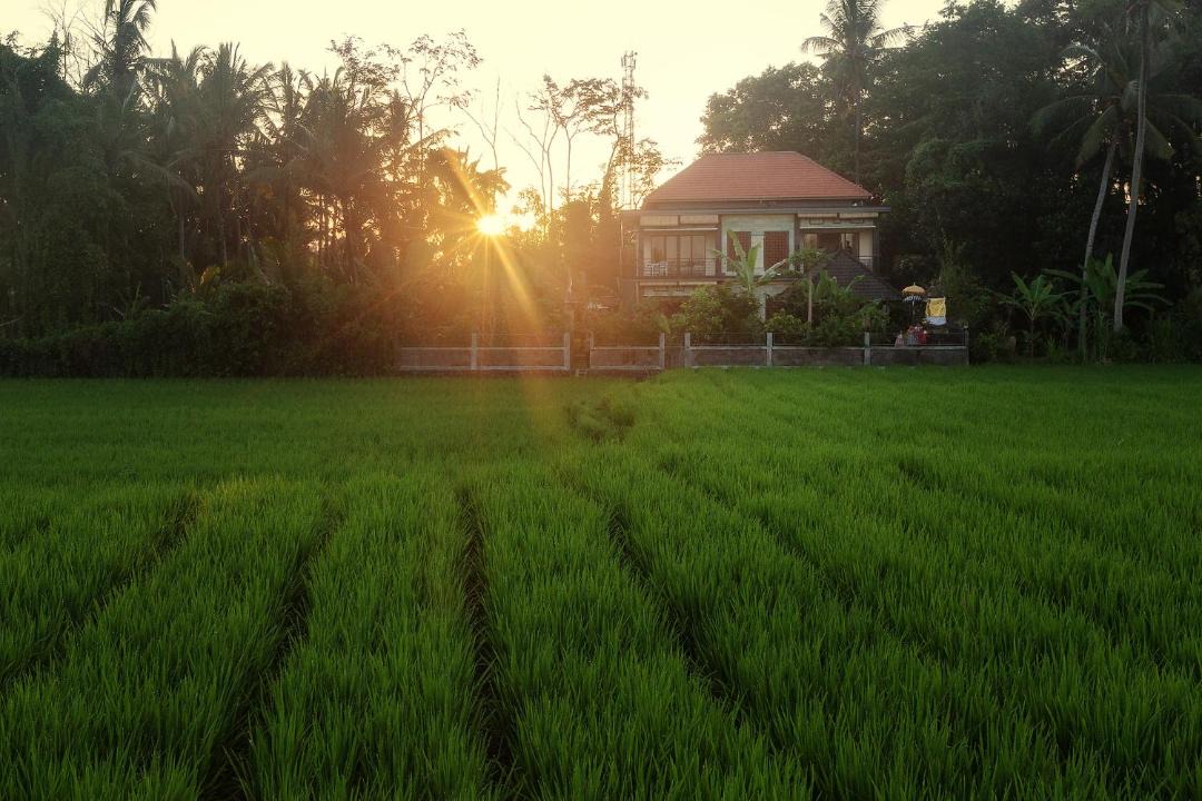 Photo of Others in Kemenuh