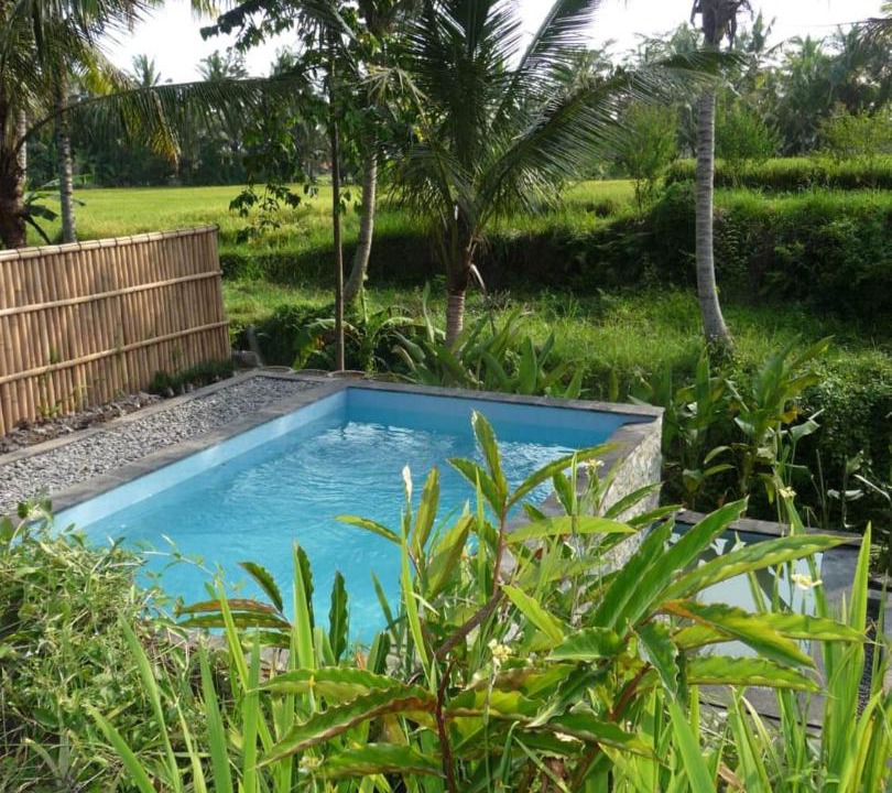 Photo of Outdoor in Melayang