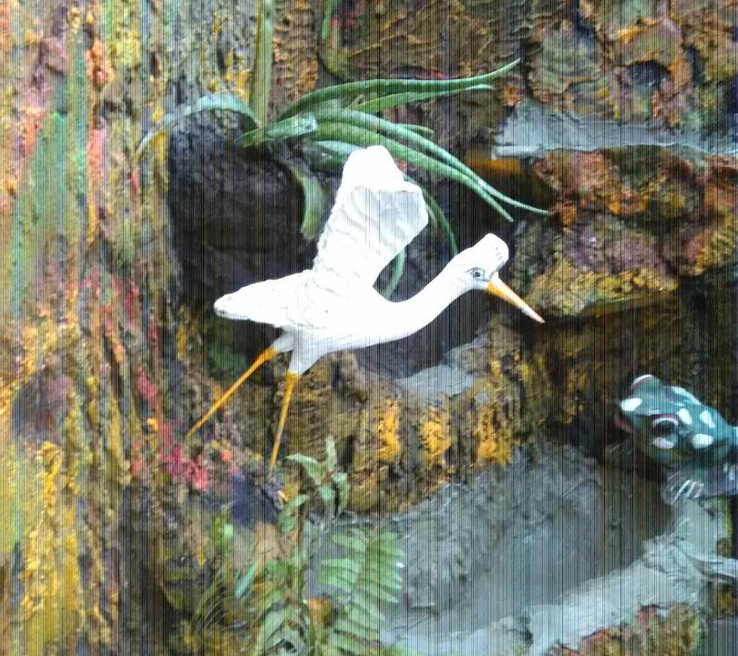 Photo of Others in Sengkidu