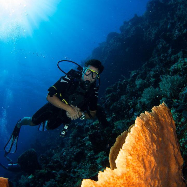 Photo of Others in Batudaka Island