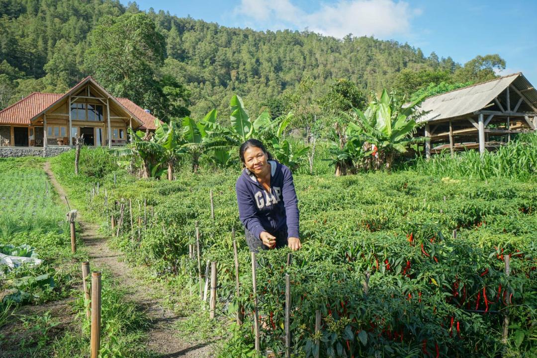 Photo of Others in Kintamani