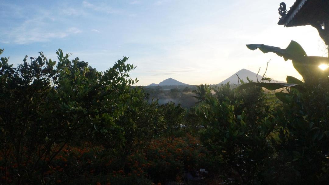 Photo of Outdoor in Pelaga