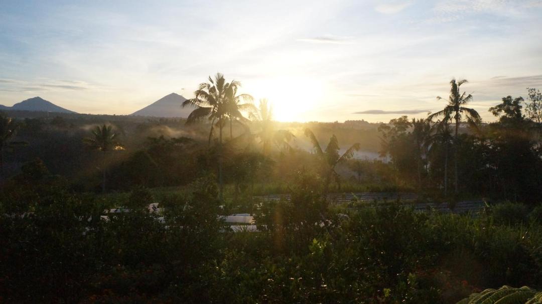 Photo of Outdoor in Pelaga