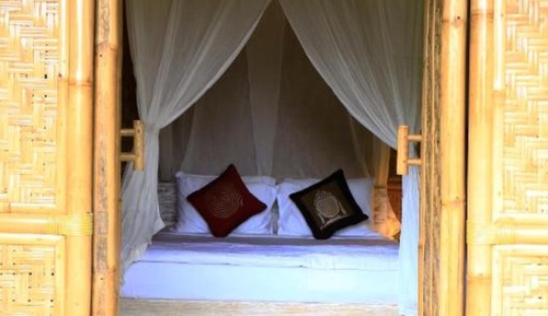 Standard Room with Jungle View