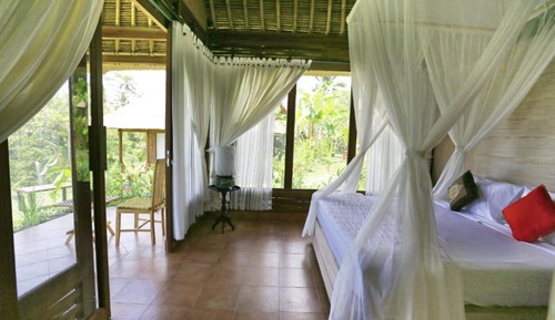 Deluxe Room with Jungle View