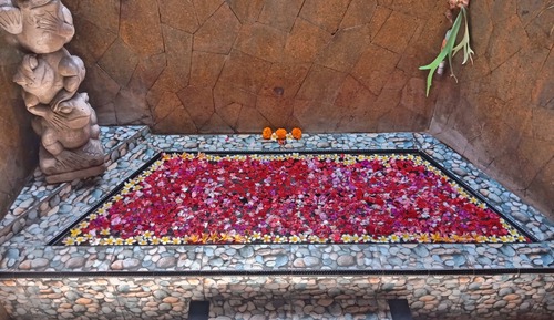 Garden View Bungalow