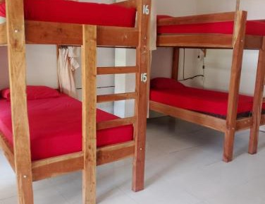 Bed in 4-Bed Mixed Dormitory Room