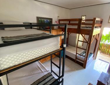 Bunk Bed in Female Dormitory Room  