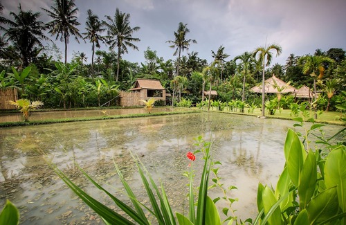 Keramas Hotel | Keramas Sacred River Village